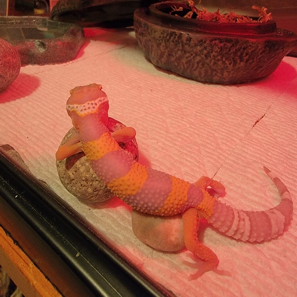 Too shy to make an offer? - Picture 4 of 10